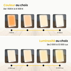 BRELLAVIO PRO 12.000 Lux LED svetilka dnevne svetlobe z vrečko