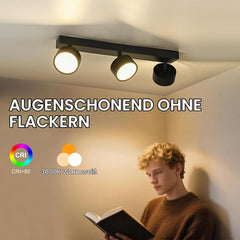 DOUGHELEC LED stropna svetilka 18W, 3000K