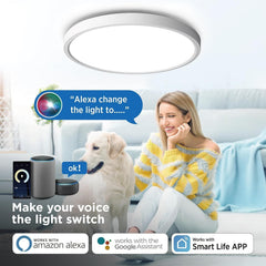 ANTENLICHT Pametna LED stropna svetilka 24W