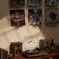 12x PHOENANCEE stenska polica za vinilne plošče iz hrasta