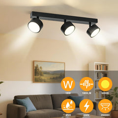 DOUGHELEC LED stropna svetilka 18W, 3000K