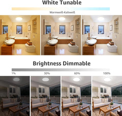 LEPRO Wi-Fi RGB pametna LED stropna svetilka