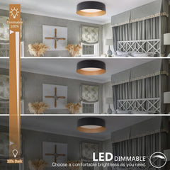 BERGENI 30 cm LED stropna svetilka